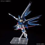 HG-CE Rising Freedom Gundam