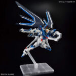 Bandai HGCE 1/144 Rising Freedom Gundam