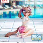 Sega Yumemirize Umamusume Pretty Derby – Smart Falcon Gaze on Me!