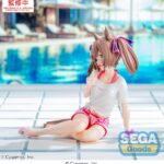 Sega Yumemirize Umamusume Pretty Derby – Smart Falcon Gaze on Me!