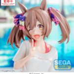 Sega Yumemirize Umamusume Pretty Derby – Smart Falcon Gaze on Me!